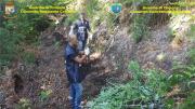 8 piantagioni di marijuana scoperte nella Locride e nel Vibonese dalla Finanza