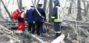 Incidente sul lavoro, trentenne muore schiacciato da un albero