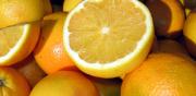 Riforma reati alimentari, Coldiretti: «Ci aiuterà a difendere olio di oliva e succo di arance»