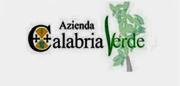 Calabria Verde, Oliverio: 'Accerteremo le responsabilità'