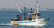 Regione, approvato ‘piano regolatore’ per la pesca